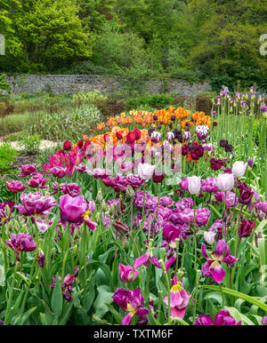 Gärten von Chatsworth House, Bakewell, Derbyshire, England, UK. Stockfoto