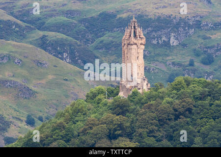 Die nationalen Wallace Monument mit der Ochil Hills hinter, von Schloss Stirling, Stirling, Schottland, UK gesehen - Gruppe von Menschen an der Basis geben Skala Stockfoto