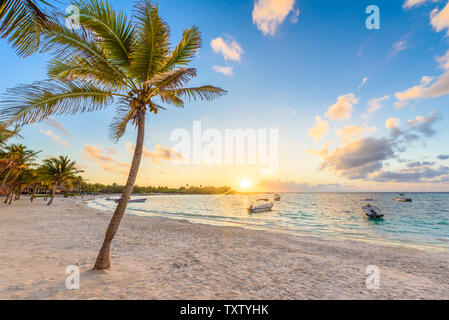 Akumal Bay - Karibische white beach in Riviera Maya, an der Küste von Yucatan und Quintana Roo, Mexiko Stockfoto