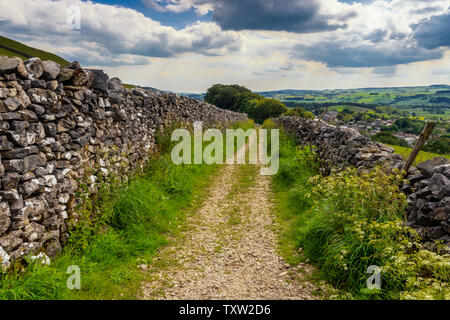 22.06.2019, vereinbaren, North Yorkshire, UkHill entlang Attermire 4 Narbe oben in den Yorkshire Dales National Park an einem Tag im Sommer. Stockfoto