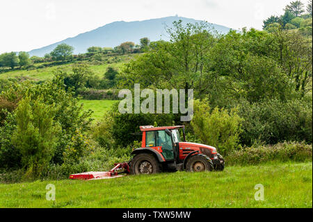 Ballydehob, West Cork, Irland. 25. Juni 2019. Hollum basierte Landwirt Michael Pat Bezirk schneidet Gras für silage unter dem Blick von Mount Gabriel. Die Silage wird Morgen gerettet werden. Irland erwartet ein mini Hitzewelle für den Rest der Woche mit Temperaturen angeblich die hohen 20 °schlagen. Credit: Andy Gibson/Alamy Leben Nachrichten. Stockfoto