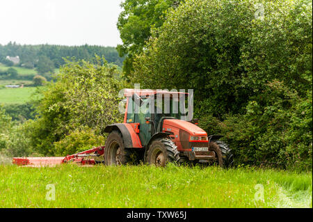 Ballydehob, West Cork, Irland. 25. Juni 2019. Hollum basierte Landwirt Michael Pat Bezirk schneidet Gras für Silage. Die Silage wird Morgen gerettet werden. Irland erwartet ein mini Hitzewelle für den Rest der Woche mit Temperaturen angeblich die hohen 20 °schlagen. Credit: Andy Gibson/Alamy Leben Nachrichten. Stockfoto