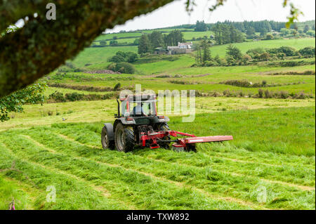 Ballydehob, West Cork, Irland. 25. Juni 2019. Hollum basierte Landwirt Michael Pat Bezirk schneidet Gras für Silage. Die Silage wird Morgen gerettet werden. Irland erwartet ein mini Hitzewelle für den Rest der Woche mit Temperaturen angeblich die hohen 20 °schlagen. Credit: Andy Gibson/Alamy Leben Nachrichten. Stockfoto