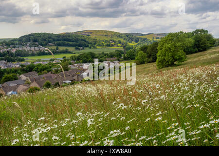 22.06.2019, vereinbaren, North Yorkshire, UkHill entlang Attermire 4 Narbe oben in den Yorkshire Dales National Park an einem Tag im Sommer. Stockfoto