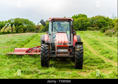 Ballydehob, West Cork, Irland. 25. Juni 2019. Hollum basierte Landwirt Michael Pat Bezirk schneidet Gras für Silage. Die Silage wird Morgen gerettet werden. Irland erwartet ein mini Hitzewelle für den Rest der Woche mit Temperaturen angeblich die hohen 20 °schlagen. Credit: Andy Gibson/Alamy Leben Nachrichten. Stockfoto