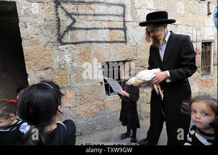 Ein Ultra-orthodoxen jüdischen Mann hält ein Huhn vor einem gemalten Umrisse der palästinensischen Flagge während der Kaparot Zeremonie in Mea Shearim in Jerusalem, 16. August 2010. Kaparot ist ein jüdisches Ritual vor Yom Kippur, der heiligste Tag im Jüdischen Kalender,, das Annehmen, um die Sünden der vergangenen Jahr um das Huhn zu übertragen. Yom Kippur beginnt bei Sonnenuntergang am Freitag. UPI/Debbie Hill Stockfoto