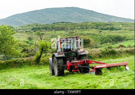 Ballydehob, West Cork, Irland. 25. Juni 2019. Hollum basierte Landwirt Michael Pat Bezirk schneidet Gras für Silage. Die Silage wird Morgen gerettet werden. Irland erwartet ein mini Hitzewelle für den Rest der Woche mit Temperaturen angeblich die hohen 20 °schlagen. Credit: Andy Gibson/Alamy Leben Nachrichten. Stockfoto