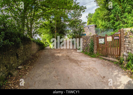 22.06.2019, vereinbaren, North Yorkshire, UkHill entlang Attermire 4 Narbe oben in den Yorkshire Dales National Park an einem Tag im Sommer. Stockfoto