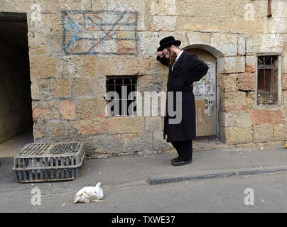 Eine ultra-orthodoxe jüdische Mensch betet neben einem Huhn, die im 'Kaparot' Zeremonie in der Mea Shearim Neighborhood in Jerusalem, 23. September 2012 verwendet werden. Religiöse Juden vorbereiten für Jom Kippur, indem sie das Ritual des 'Kaparot" durch ein Gebet rezitieren ihre Sünden aus dem letzten Jahr auf das Huhn zu übertragen. Yom Kippur ist der heiligste Tag im Jüdischen Kalender und beginnt bei Sonnenuntergang am 25. September. UPI/Debbie Hill Stockfoto