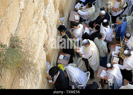 Ultra-orthodoxe Juden halten Sie die "vier Arten" während spezielle Gebete an der westlichen Mauer, dem heiligsten Ort des Judentums, wie Sie die birkat Cohanim oder priesterlichen Segen in der Altstadt von Jerusalem, 3. Oktober 2012 zu rezitieren. Die cohanim werden geglaubt, direkte Nachkommen der Priester in Jerusalem alte Tempel zu sein. Zehntausende überschwemmt der westlichen Wand für die Sukkot spezielle Gebete. UPI/Debbie Hill Stockfoto