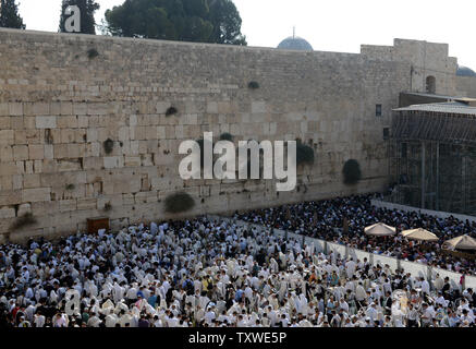 Ultra-orthodoxe Juden ihre Häupter mit Gebet Schals während spezielle Gebete an der westlichen Mauer, dem heiligsten Ort des Judentums, wie Sie rezitieren die Birkat Cohanim oder priesterlichen Segen in der Altstadt von Jerusalem, 3. Oktober 2012. Die cohanim werden geglaubt, direkte Nachkommen der Priester in Jerusalem alte Tempel zu sein. Zehntausende überschwemmt der westlichen Wand für die Sukkot spezielle Gebete. UPI/Debbie Hill Stockfoto