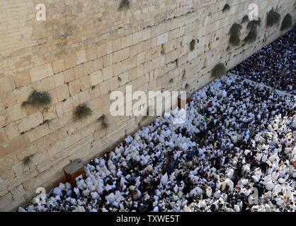 Ultra-orthodoxe Juden beten an der westlichen Mauer, dem heiligsten Ort des Judentums, wie Sie die birkat Cohanim oder priesterlichen Segen für besondere Gebete für Sukkot Laubhüttenfest rezitieren, in der Altstadt von Jerusalem, 3. Oktober 2012. Die cohanim werden geglaubt, direkte Nachkommen der Priester in Jerusalem alte Tempel zu sein. Zehntausende überschwemmt der westlichen Wand für die Sukkot spezielle Gebete. UPI/Debbie Hill Stockfoto