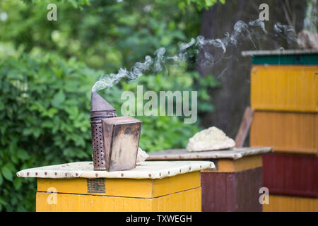 Die begasung von Bienen - ein Gerät für die Herstellung von Rauch, die in der Bienenzucht während der honiggewinnung verwendet Stockfoto