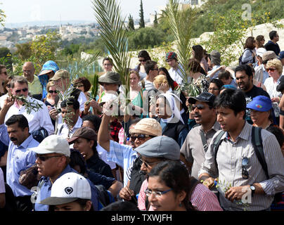 Christliche Pilger tragen Palmen und Olivenbäumen Niederlassungen während der jährlichen Palmsonntag Prozession auf dem Ölberg in Jerusalem, Israel, 13. April 2014. Lokale und internationale Christen ging den Pfad, wo Jesus Christus ein Esel in Jerusalem vor mehr als 2.000 Jahren ritt. Der Palmsonntag ist der Beginn der Heiligen Woche. UPI/Debbie Hill Stockfoto