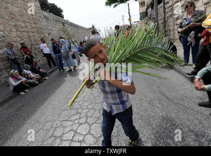 Ein palästinensischer Junge trägt Palmzweige für die Pilger vor der jährlichen Palmsonntag Prozession auf dem Ölberg in Jerusalem, Israel, 13. April 2014 zu verkaufen. Lokale und internationale Christen ging den Pfad, wo Jesus Christus ein Esel in Jerusalem vor mehr als 2.000 Jahren ritt. Der Palmsonntag ist der Beginn der Heiligen Woche. UPI/Debbie Hill Stockfoto