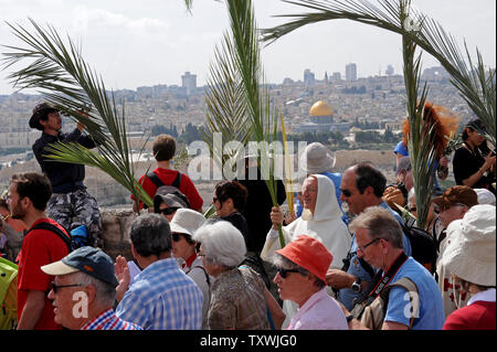 Christliche Pilger tragen Palmen und Olivenbäumen Niederlassungen während der jährlichen Palmsonntag Prozession mit Blick auf die Altstadt von Jerusalem auf dem Ölberg in Jerusalem, Israel, 13. April 2014. Lokale und internationale Christen ging den Pfad, wo Jesus Christus ein Esel in Jerusalem vor mehr als 2.000 Jahren ritt. Der Palmsonntag ist der Beginn der Heiligen Woche. UPI/Debbie Hill Stockfoto