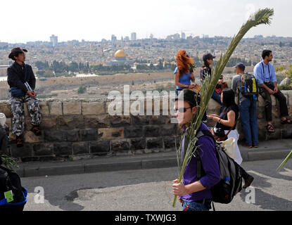 Ein Christ trägt eine palmzweige während der jährlichen Palmsonntag Prozession mit Blick auf die Altstadt von Jerusalem auf dem Ölberg in Jerusalem, Israel, 13. April 2014. Lokale und internationale Christen ging den Pfad, wo Jesus Christus ein Esel in Jerusalem vor mehr als 2.000 Jahren ritt. Der Palmsonntag ist der Beginn der Heiligen Woche. UPI/Debbie Hill Stockfoto