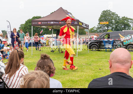 James der Narr von Chester und 2019 Lymm historischen Transport Tag ausführen Stockfoto