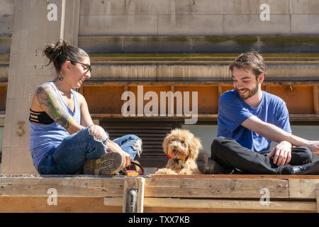 Happy puppy feiern Stolz mit stolzen Hund Eltern! Stockfoto