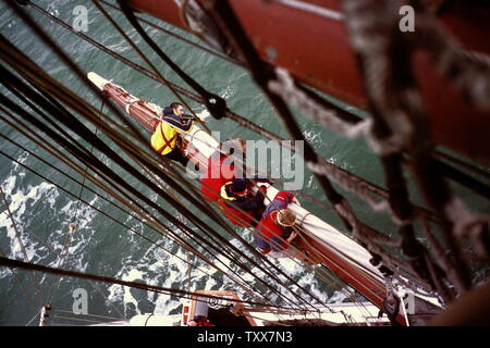 AJAXNETPHOTO. PORTSMOUTH, England. - TALL SHIP SEGELN-CREW DES TALL SHIP PRINZ WILLIAM LATTENGROSS SEGEL, BEVOR SIE IN DEN HAFEN. Foto: Jonathan Eastland/AJAX REF: 131208 172 Stockfoto