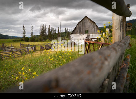 Verwitterte Ranch Scheune Nicola Valley British Columbia. Eine alte, verwitterte Scheune in der Nicola Valley, British Columbia, Kanada. Stockfoto