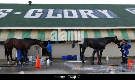 Pferde werden von ihren Pferdepflegern während am frühen Morgen Training gewaschen vor der 141 läuft der Kentucky Derby an Churchill Downs am 1. Mai 2015 in Louisville, Kentucky. Foto von John Sommers II/UPI Stockfoto