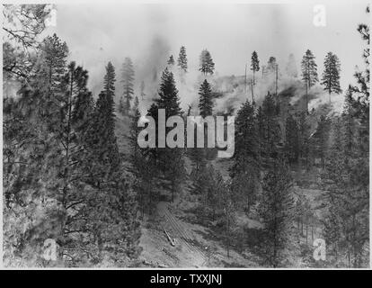 Broadcast Schrägstrich brennen auf dem Manila Creek Indian Logging Unit.; Umfang und Inhalt: Fotografische Berichte von Harold Weaver übersetzt veranschaulichen Waldbewirtschaftung auf Indian Reservation Wälder von Washington und Oregon, vor allem auf der Colville, wo Weber war Wald Supervisor, bevor er regionale Förster in 1960. Es gibt dort ein paar Fotos von Kalifornien und Montana und Berichte über wissenschaftliche Exkursionen. Stockfoto