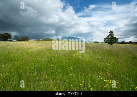 National Botanic Garden of Wales, Großbritannien Stockfoto