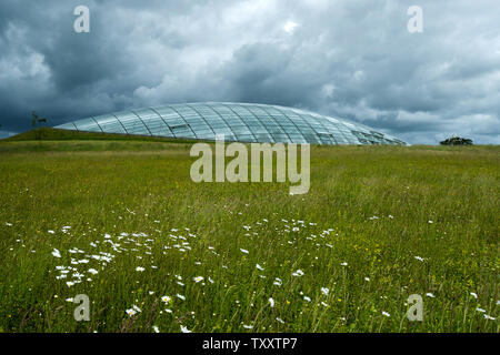 National Botanic Garden of Wales, Großbritannien Stockfoto