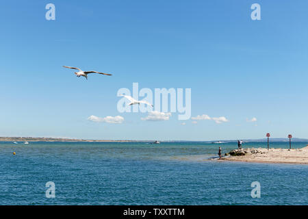 Hübsche weiße Sandbank bei Mudeford Spit (mudeford Strand) an einem Sommertag. Mudeford, Christchurch, Bournemout, Dorset (Den Solent/Englisch Kanal) Stockfoto