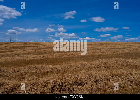 Foto von einem Stroh gedeckt Feld mit einem blauen Himmel im Hintergrund auf einem Bauernhof. Stockfoto