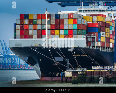 Handelshafen Großbritannien - Versandcontainer, die von der Maersk Eureka bei Felixstowe entladen werden - der Hafen von Felixstowe ist der größte Containerhafen Großbritanniens Stockfoto