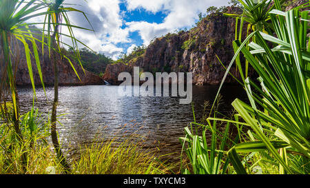 Edith Falls Nationalpark - Northern Territory - Australien Stockfoto