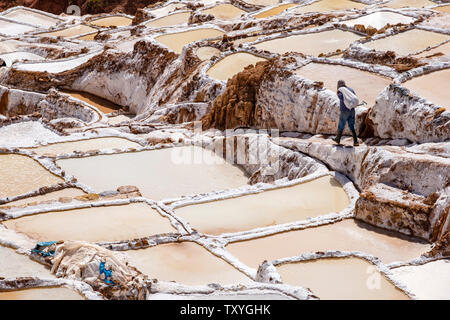 Mann bei der Arbeit auf Salineras de Maras/Maras Salzminen. Die Salzgewinnung in Maras Salinen, Terrassen und Teichen, Peru Sacred Valley. Stockfoto
