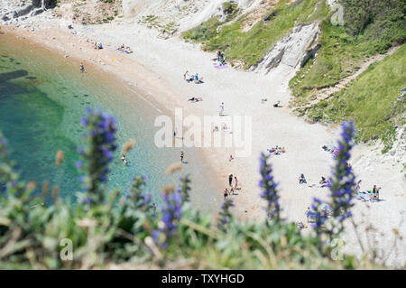 Dorset, England, Großbritannien - Juni 2019: Dorset Strand Blick vom Gipfel der Klippe mit selektiven Fokus Stockfoto