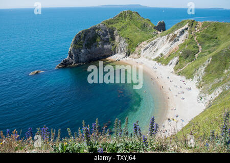 Blick auf den Dorset Strand von der Spitze der Klippe, Lulworth, England, Großbritannien Stockfoto