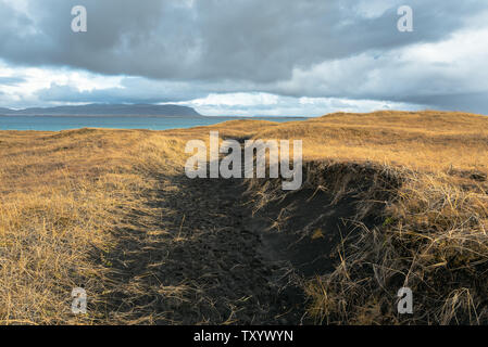 Leere schmale Trail durch den schwarzen Sand Dünen entlang der Küste des südlichen Island im Herbst. Das Konzept der Erforschung. Stockfoto