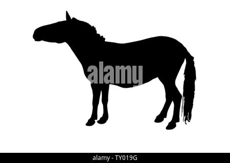 Schwarze Silhouette Horse Vector eps Abbildung 10 auf weißem Hintergrund Stock Vektor