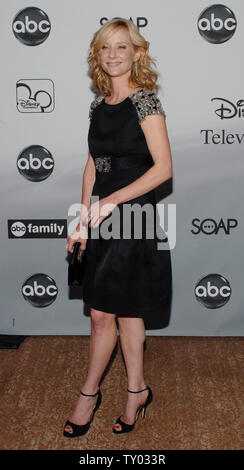 Schauspielerin Anne Heche, ein Ensemble in der dramatischen Comedy Serie "Männer in Bäumen", sorgt sich die ABC Television Network Sommer Presse Rundgang Partei für TV-Kritiker in Beverly Hills, Kalifornien am 25. Juli 2007. (UPI Foto/Jim Ruymen) Stockfoto