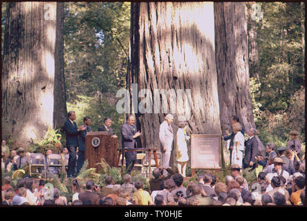 Engagement von Lady Bird Johnson Grove im Redwood National Park, Kalifornien; Umfang und Inhalt: Im Bild: (neben Plaque) Herr und Frau Lyndon B. Johnson und Präsident und Frau Nixon. Betrifft: Past Präsident. Stockfoto