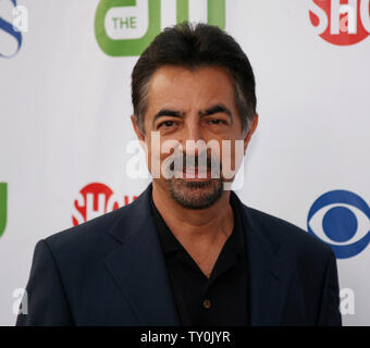 Schauspieler Joe Mantegna besucht die CBS, CW und Showtime Presse tour Party in Los Angeles am 18. Juli 2008. (UPI Foto/Kevin Reece). . Stockfoto