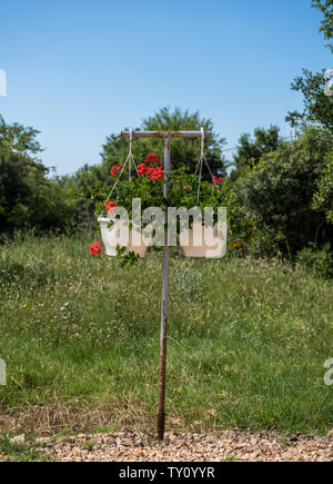 Zwei Töpfe Blumen auf Metallständer Stockfoto