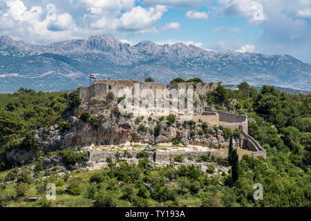 Festung oberhalb der kroatischen Stadt Novigrad in der Gespanschaft Istrien Stockfoto