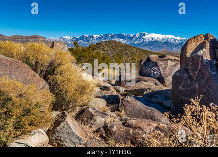 Three Rivers Petroglyph Site zwischen Tularosa tat und Carrizozo, schneebedeckte Sierra Blanca Türme im Osten, Otero County, New Mexico, USA. Stockfoto