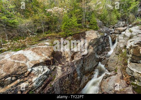 Untere Stufe der Silver Cascade im Frühjahr, White Mountain National Forest, Crawford Notch State Park, Carroll Co, NH Stockfoto