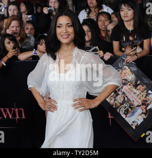 Schauspielerin Julia Jones besucht die Premiere der romantische Fantasy Motion Picture' Die Twilight Saga: Breaking Dawn - Teil 1", bei Nokia Theater in Hollywood" in Los Angeles am 14 November, 2011. UPI/Jim Ruymen Stockfoto