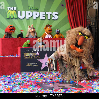 Muppets Animal, Pepe, Miss Piggy, Fozzie, Gonzo, (L-R, hinten) und Kermit, Walter und Sweetums besuchen Die unnachahmlichen Muppets Enthüllungsfeier ehrt die Muppets mit der 2,466 th Stern auf dem Hollywood des Ruhmes in Los Angeles am 20. März 2012 laufen. UPI/Jim Ruymen Stockfoto