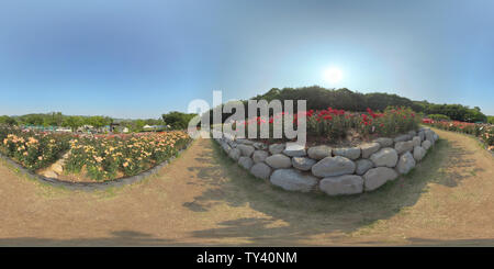 360 Grad Panorama Ansicht von Ansan, Südkorea - 12. Juni 2019. Panorama 360 Grad Blick in den Park. Wald und Park 360 Bild, VR-AR Inhalt.