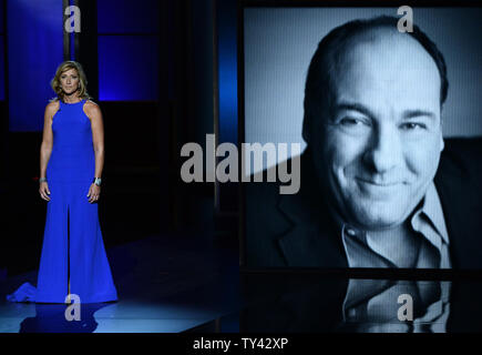 Schauspielerin Edie Falco spricht während einer Nachruf für die Gefährte opranos' Stern James Fandolfini am 65. jährlichen Primetime Emmy Awards bei Nokia Theater in Los Angeles am 22. September 2013. UPI/Jim Ruymen Stockfoto