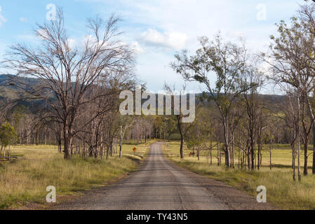 Unbefestigte Straße durch gelöscht wald landschaft führenden jetzt Rinder Land in der Nähe von Gin Gin Queensland Australien Stockfoto